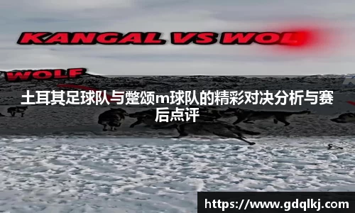 bsports官网入口